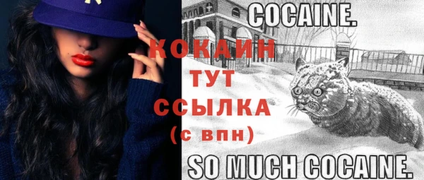 прущая мука Новодвинск