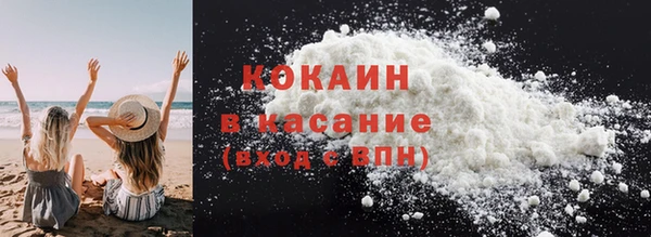 ешки Новозыбков
