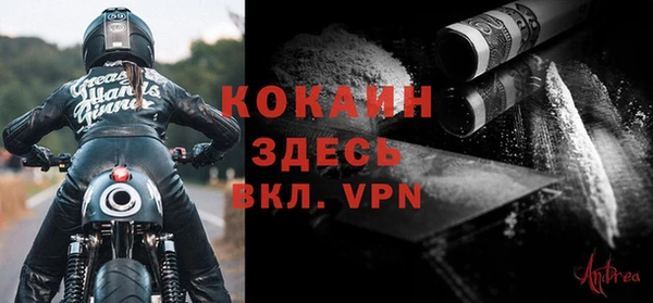 ешки Новозыбков