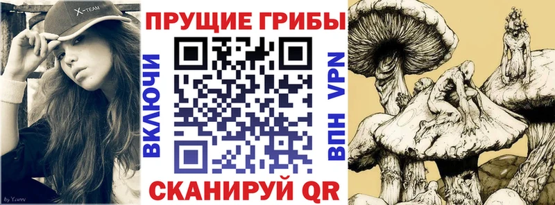 Галлюциногенные грибы ЛСД Клинцы